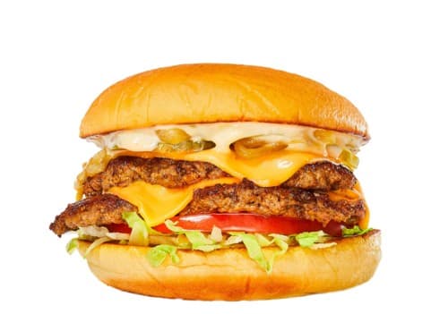 SALT burgers + fries
